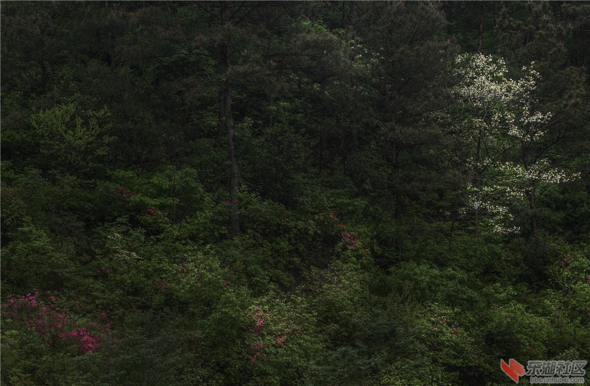 L9990422.jpg
