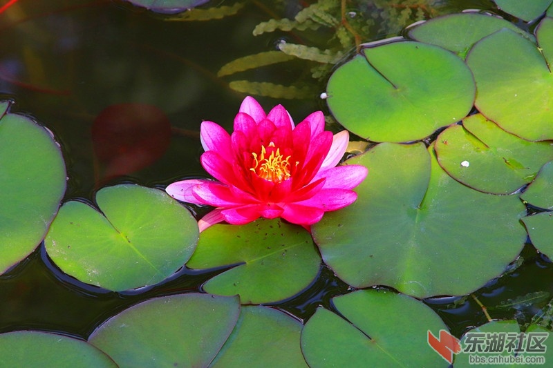 IMG_5014_爱奇艺_副本.jpg