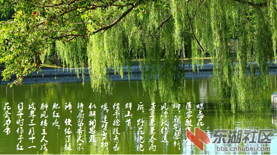 微信图片_20180427145214.png