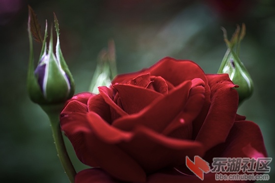17..曾院平摄影.jpg