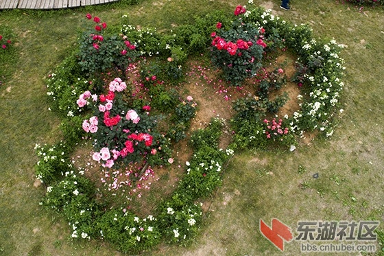 5..曾院平摄影.jpg