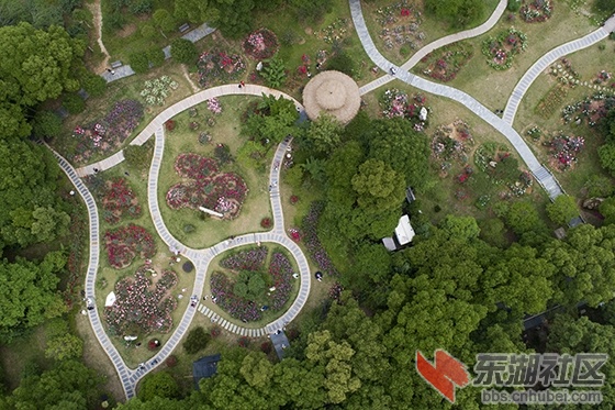 1.曾院平摄影.jpg