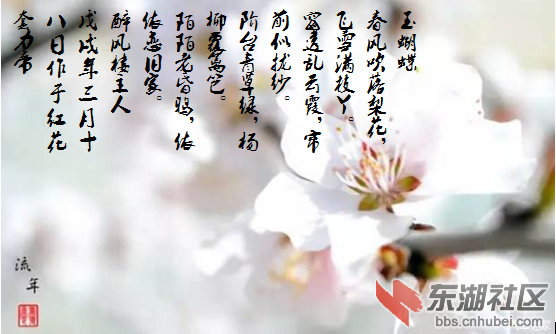 梨花.png