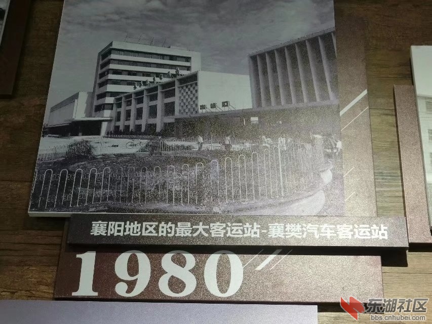 CIMG5540.jpg