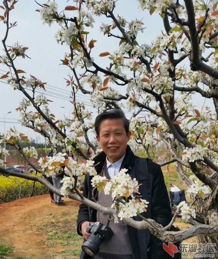 自己在梨花节_看图王.jpg