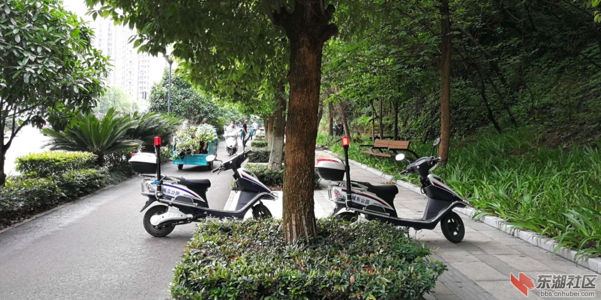 微信图片_20180512163547.jpg