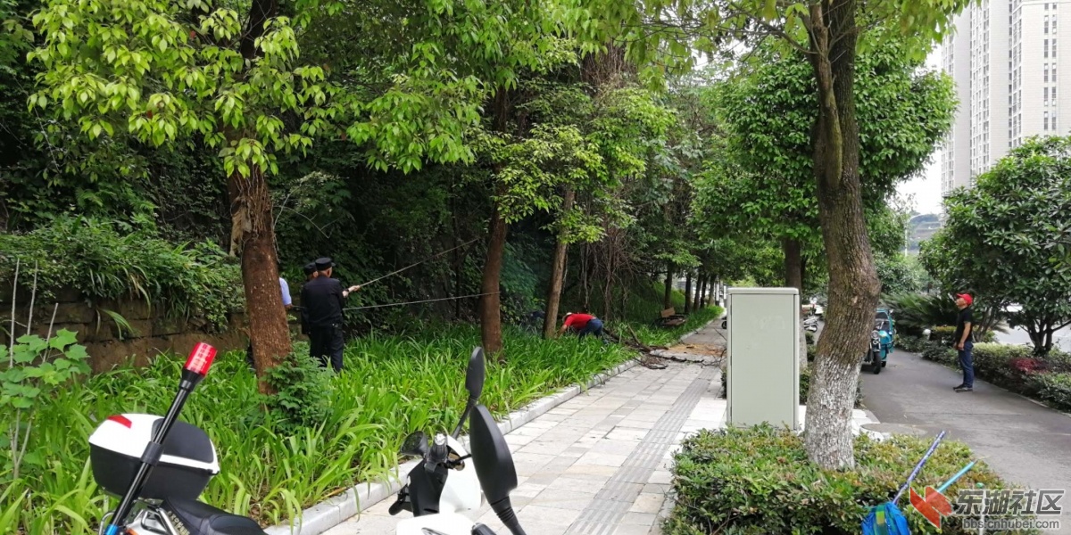 微信图片_20180512163550.jpg