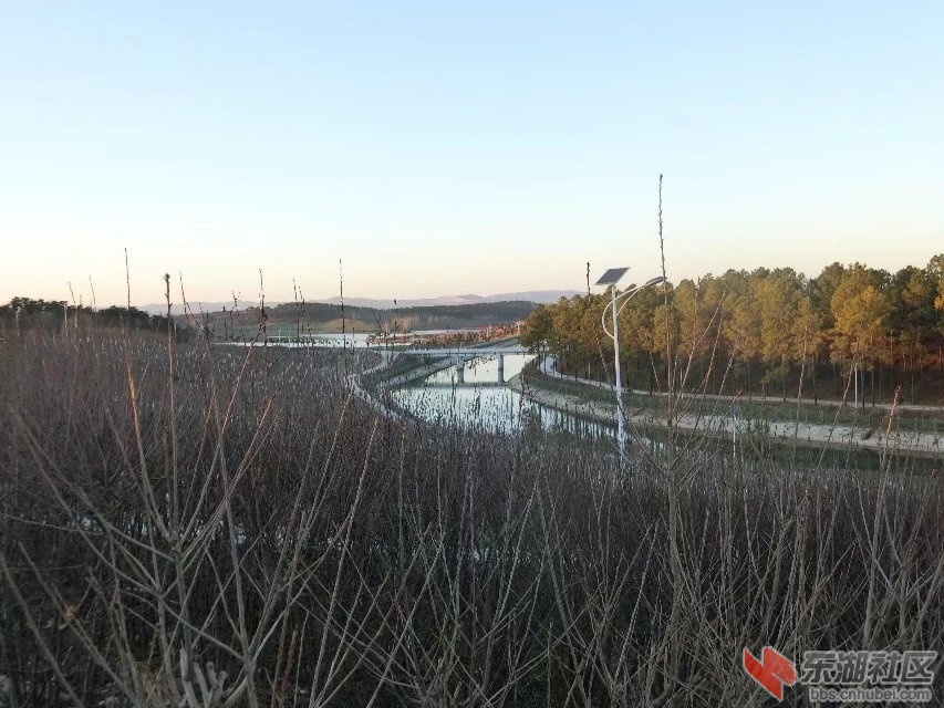 CIMG5959.jpg