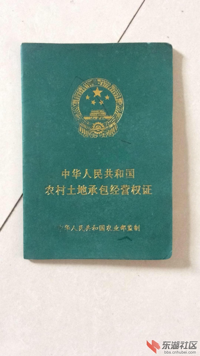 2004年确权归我家