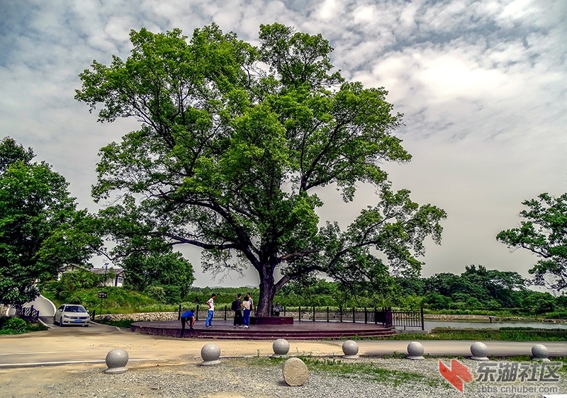 漂亮的武漢市後花園,市民休閒的好去處—— 木蘭花鄉景區掠影