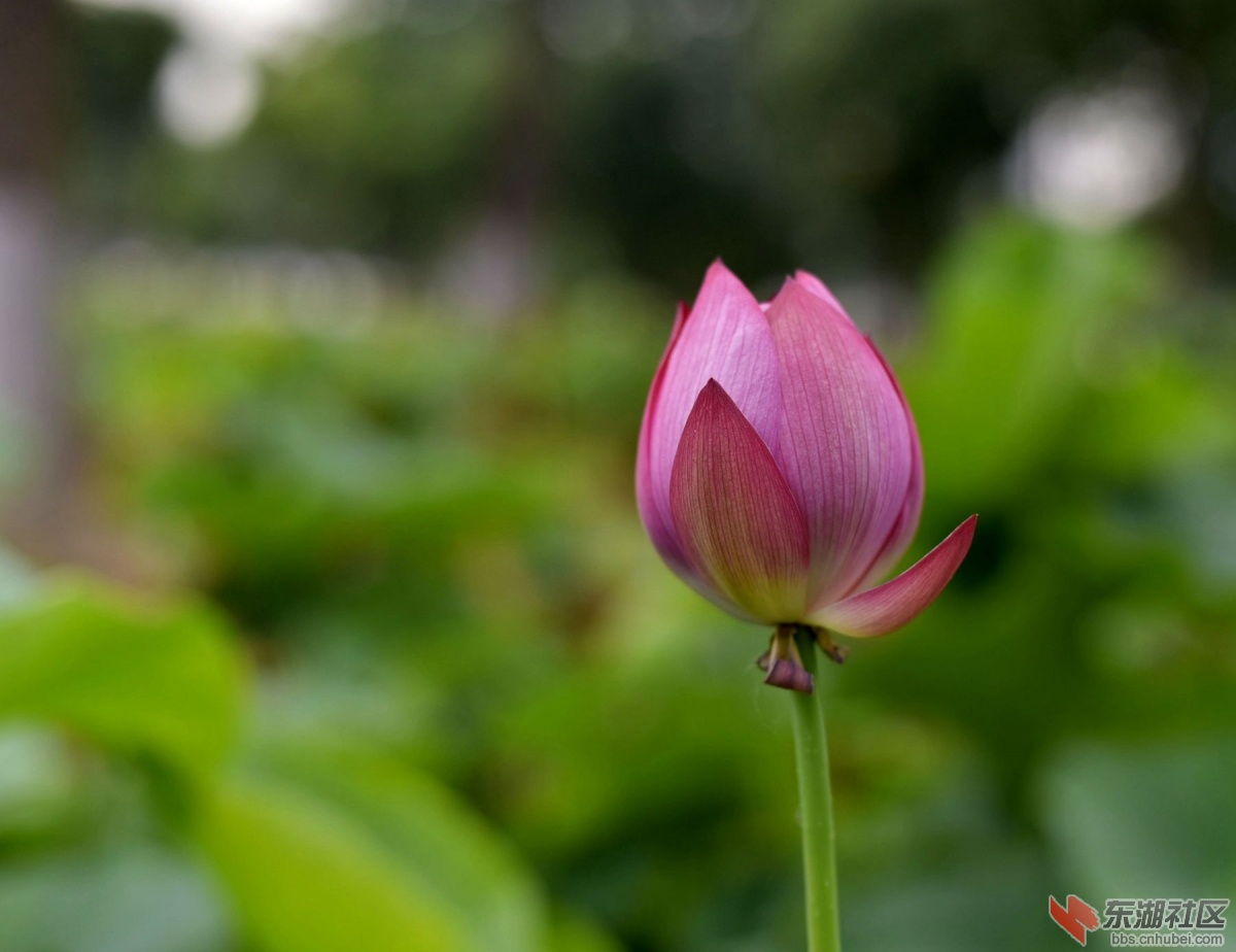 _DSC7540_副本_副本.jpg