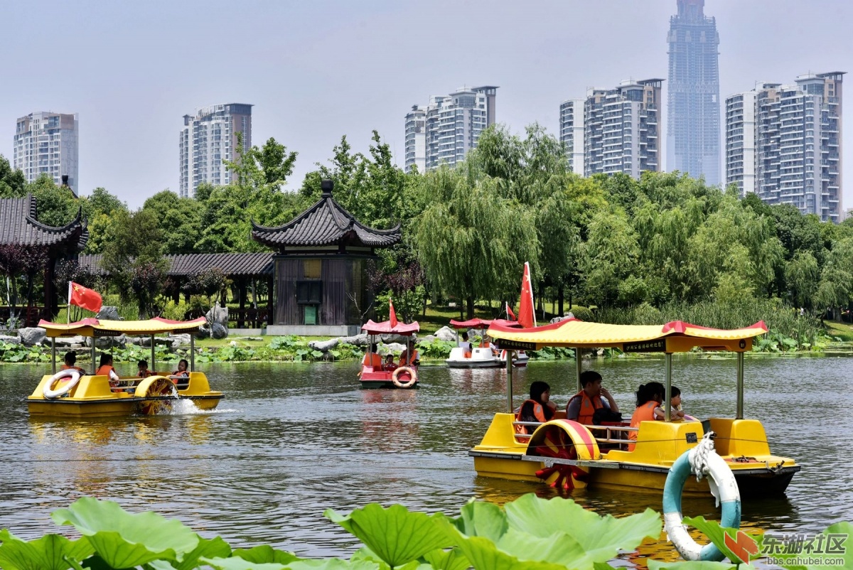_DSC7647_副本_副本.jpg