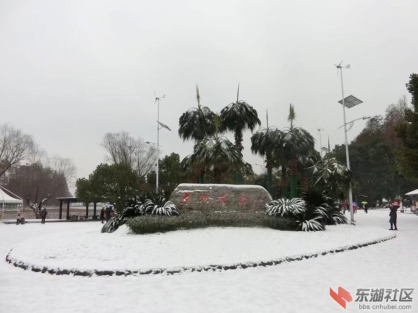 CIMG9066.jpg