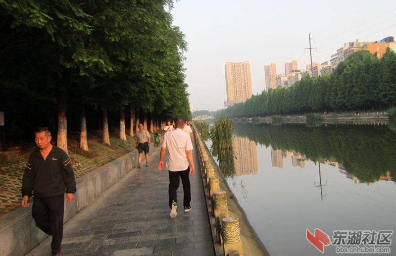 B8.jpg