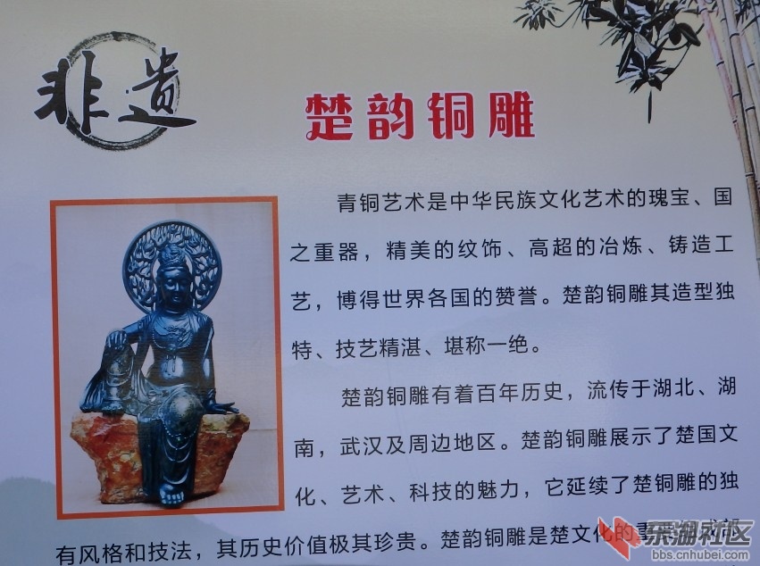 P6155283_conew1.JPG
