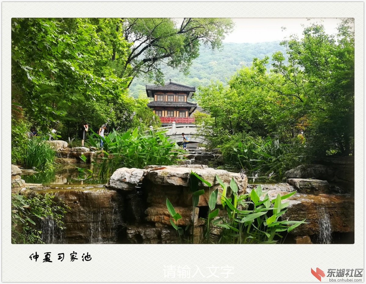 IMG_荣耀X6-1.jpg