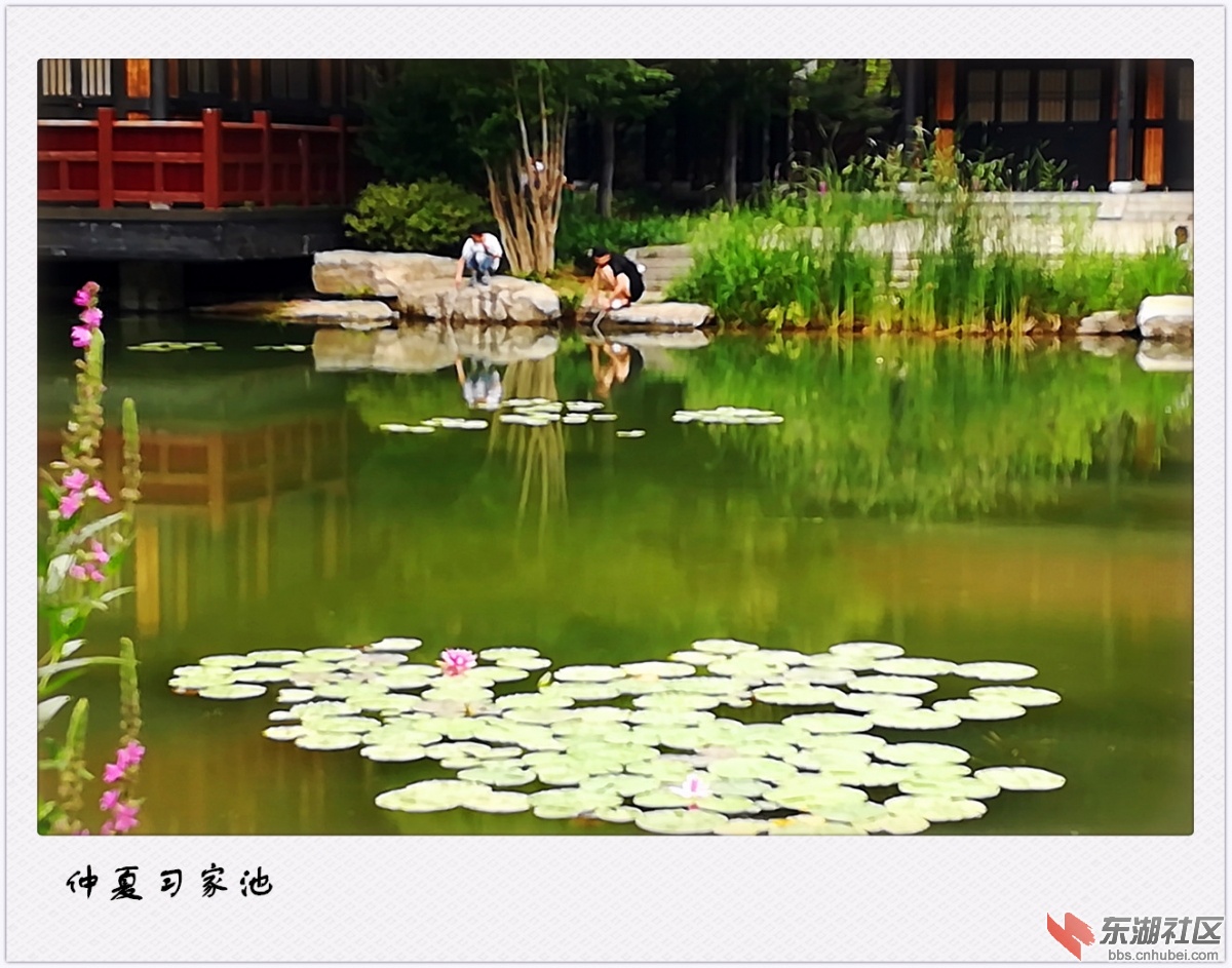 IMG_荣耀X6-5.jpg