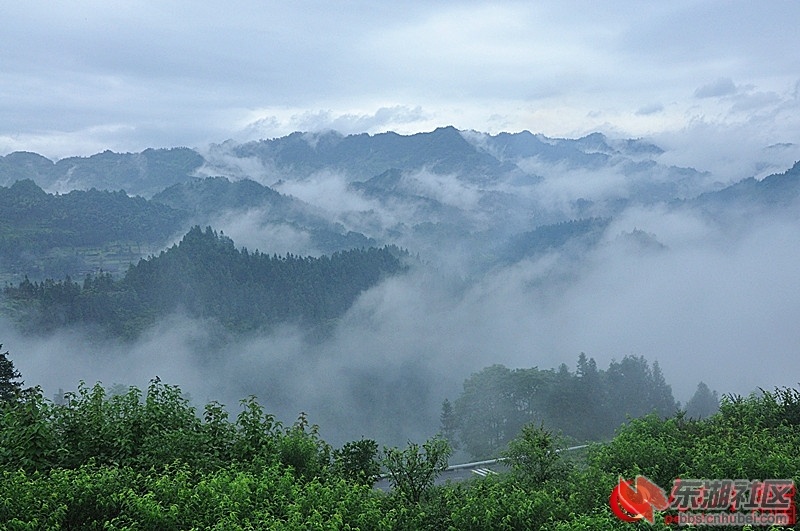 124244p82j2n88nxcm2hi1.jpg
