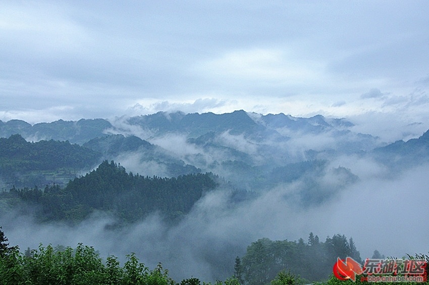 124325lcrlt6rndddnrpqk.jpg