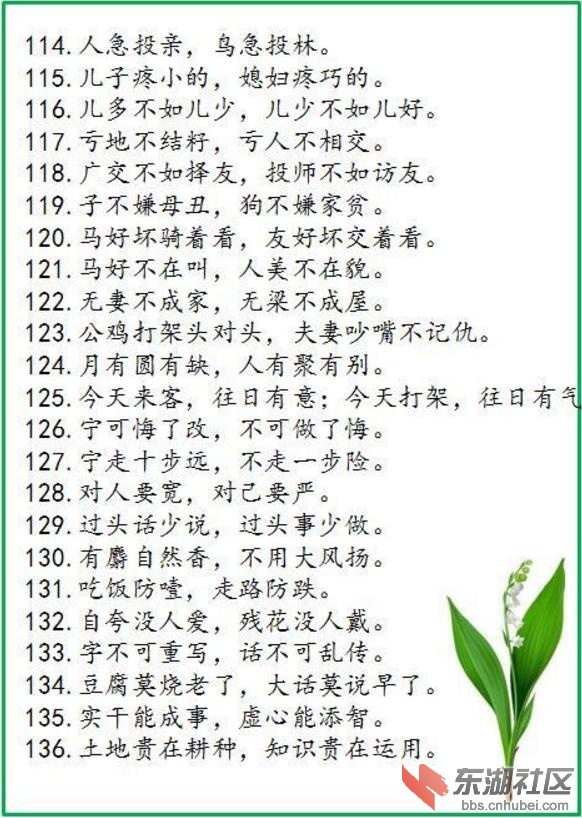 114.jpg