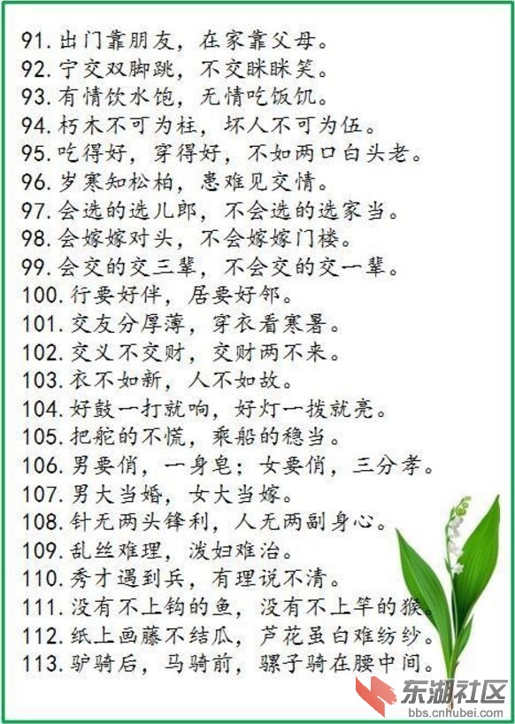 91.jpg
