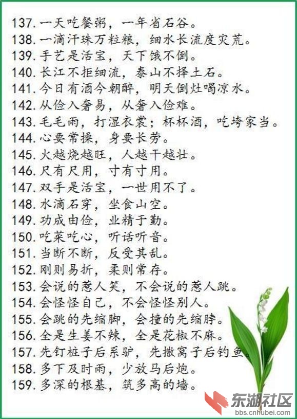 137.jpg
