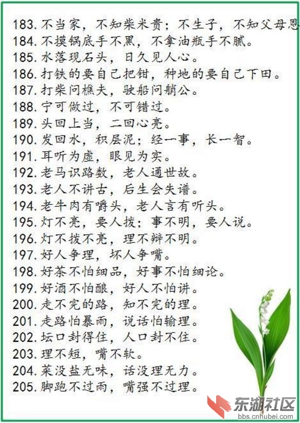 183.jpg