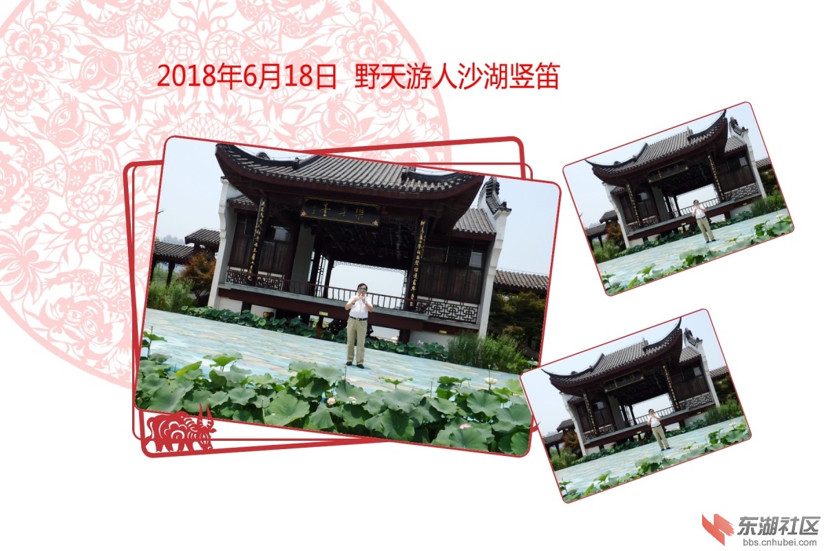 P6185646_conew1.JPG