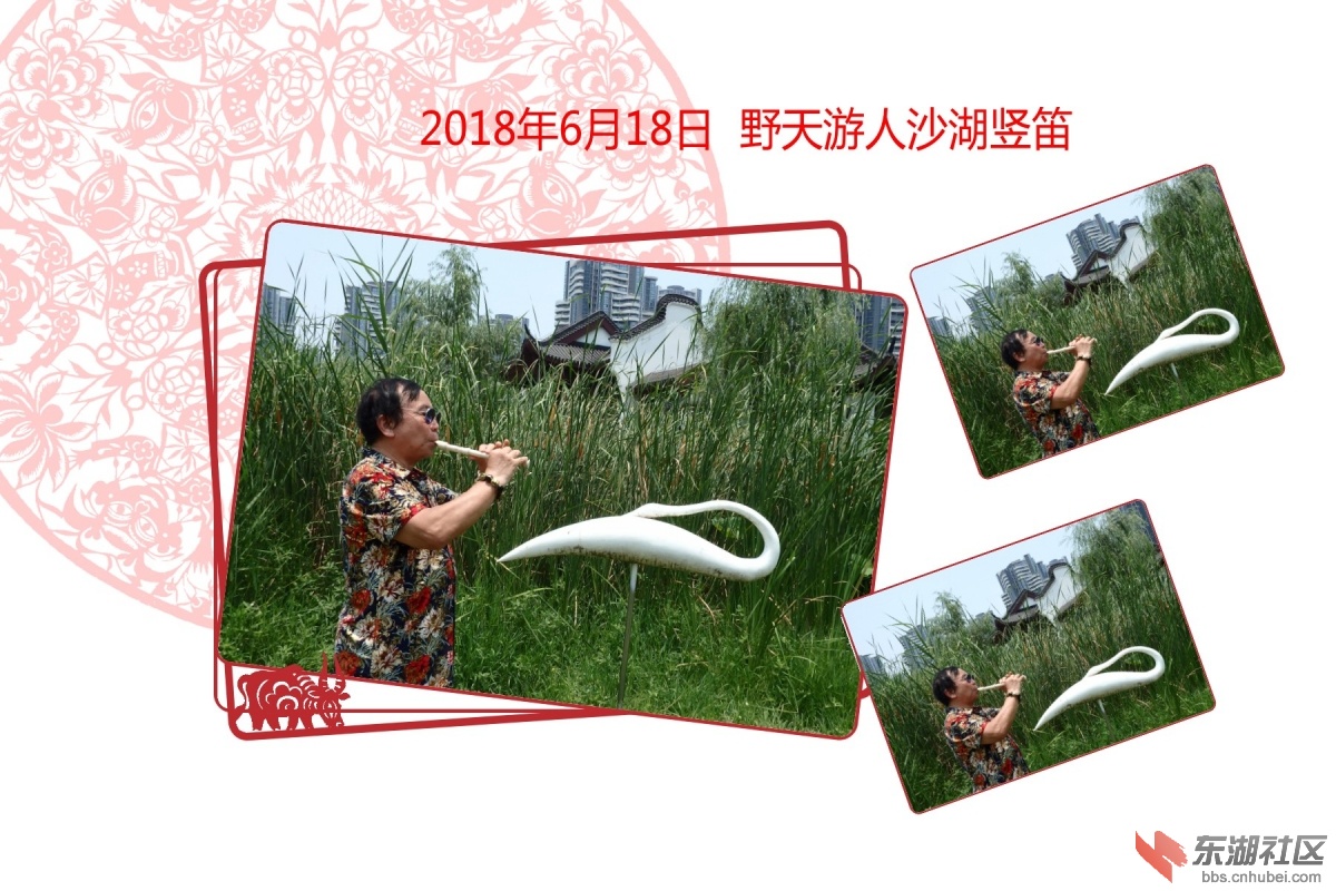 P6185679_conew1.JPG
