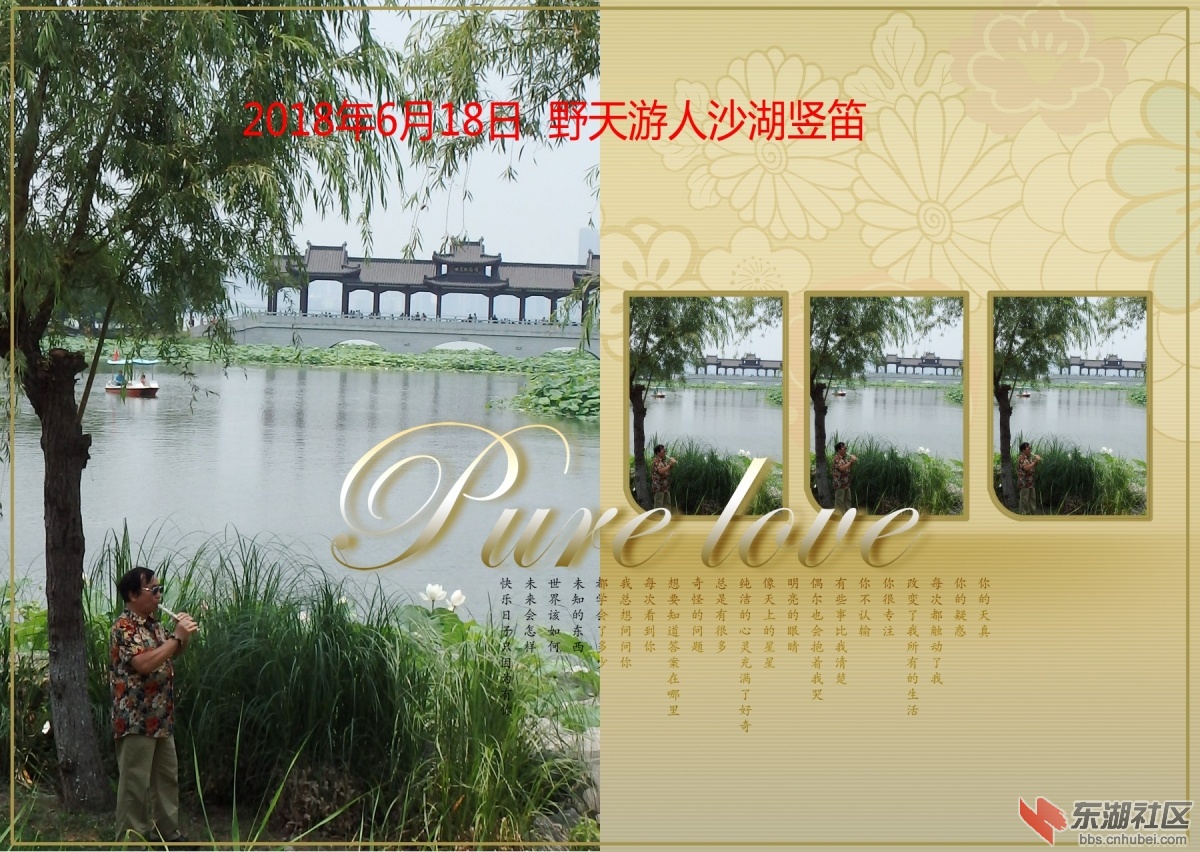 P6185659_conew1.JPG