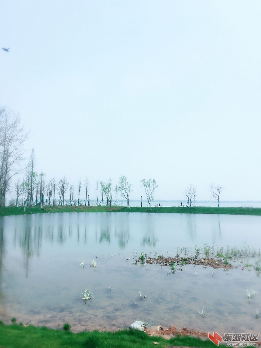 原创6.jpg