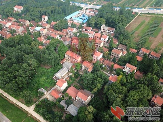 DJI_0132 - 副本.JPG