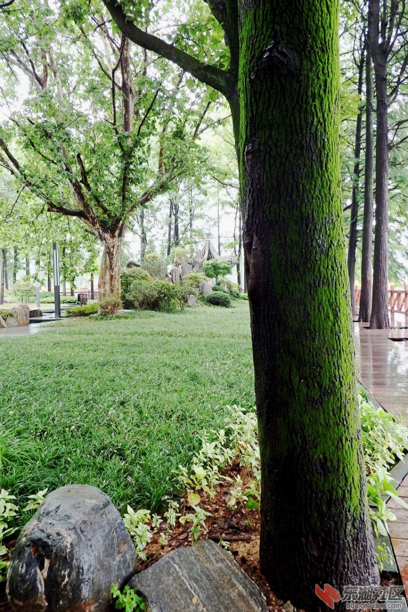 P5313699_conew1.JPG