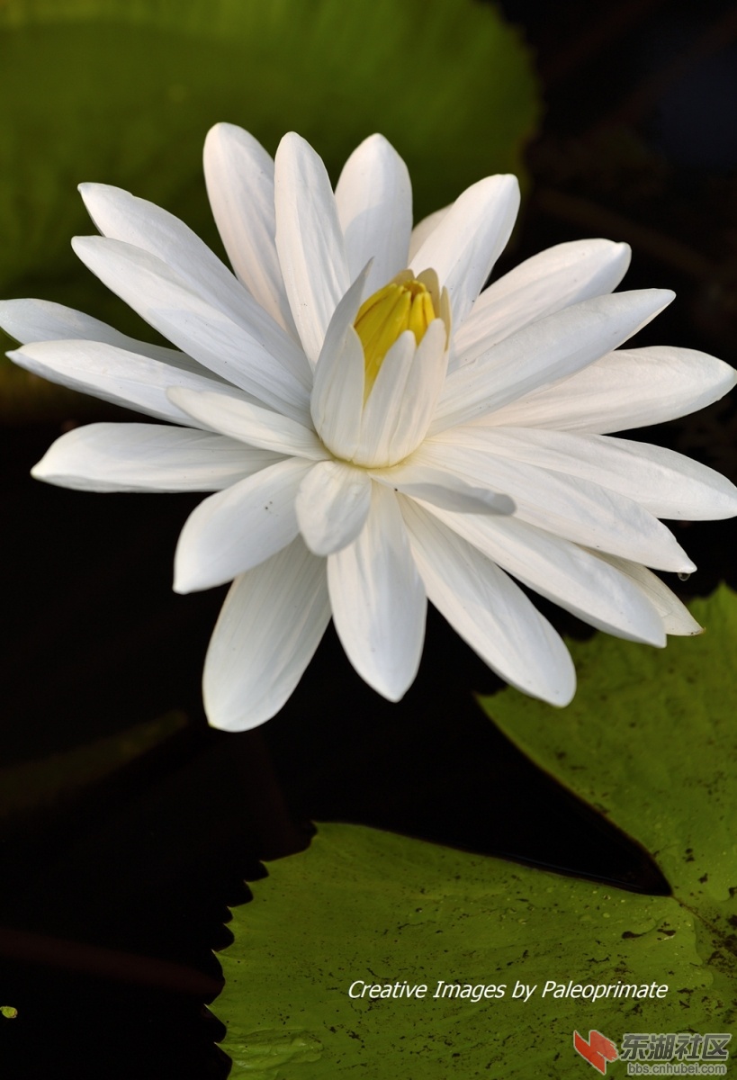 _DSC8887.jpg