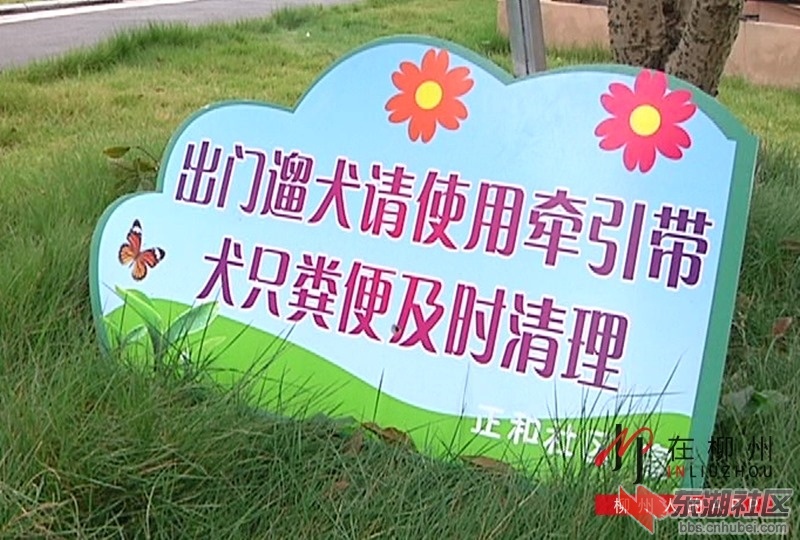 c104a9fa110c31ae17b225192789dcac.jpg