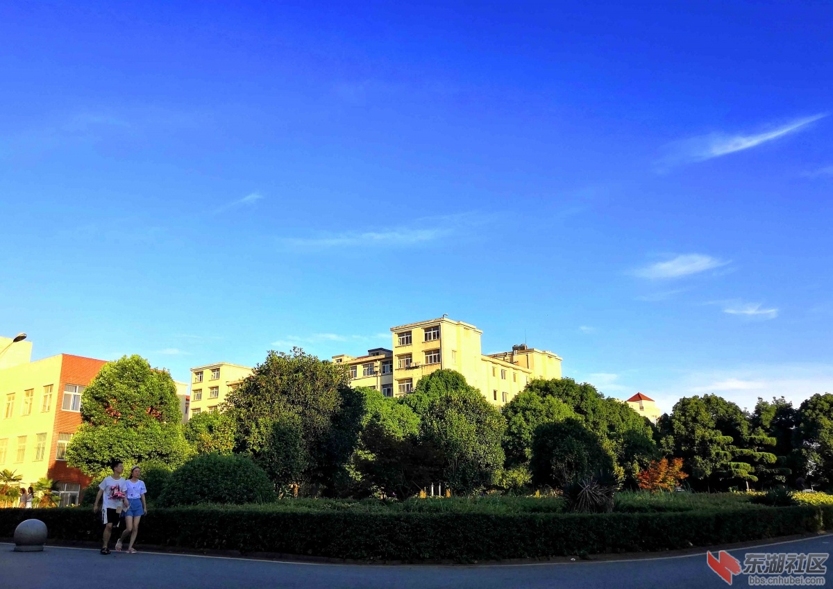 IMG_20180627_183826 拷贝.jpg