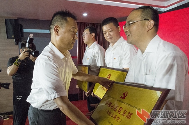 17.领导为获奖党员代表颁奖.jpg