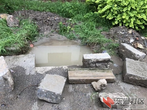 微信图片_20180703144611.jpg