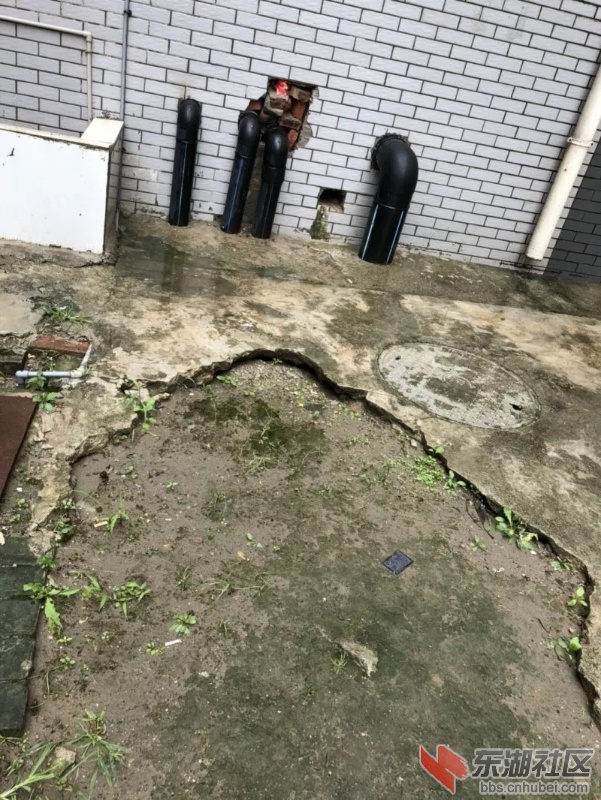 微信图片_20180703144615.jpg