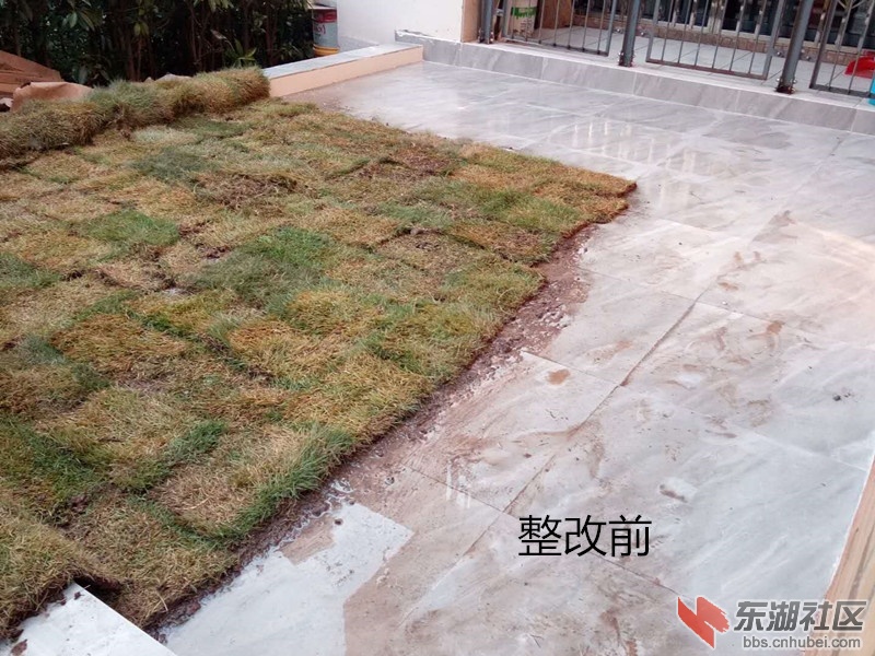 这是整改之前，铺了地砖，围成院子