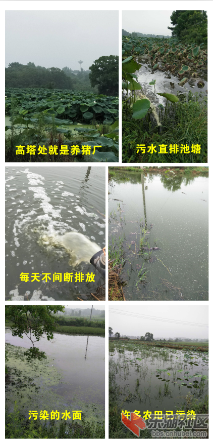 污水直排农田