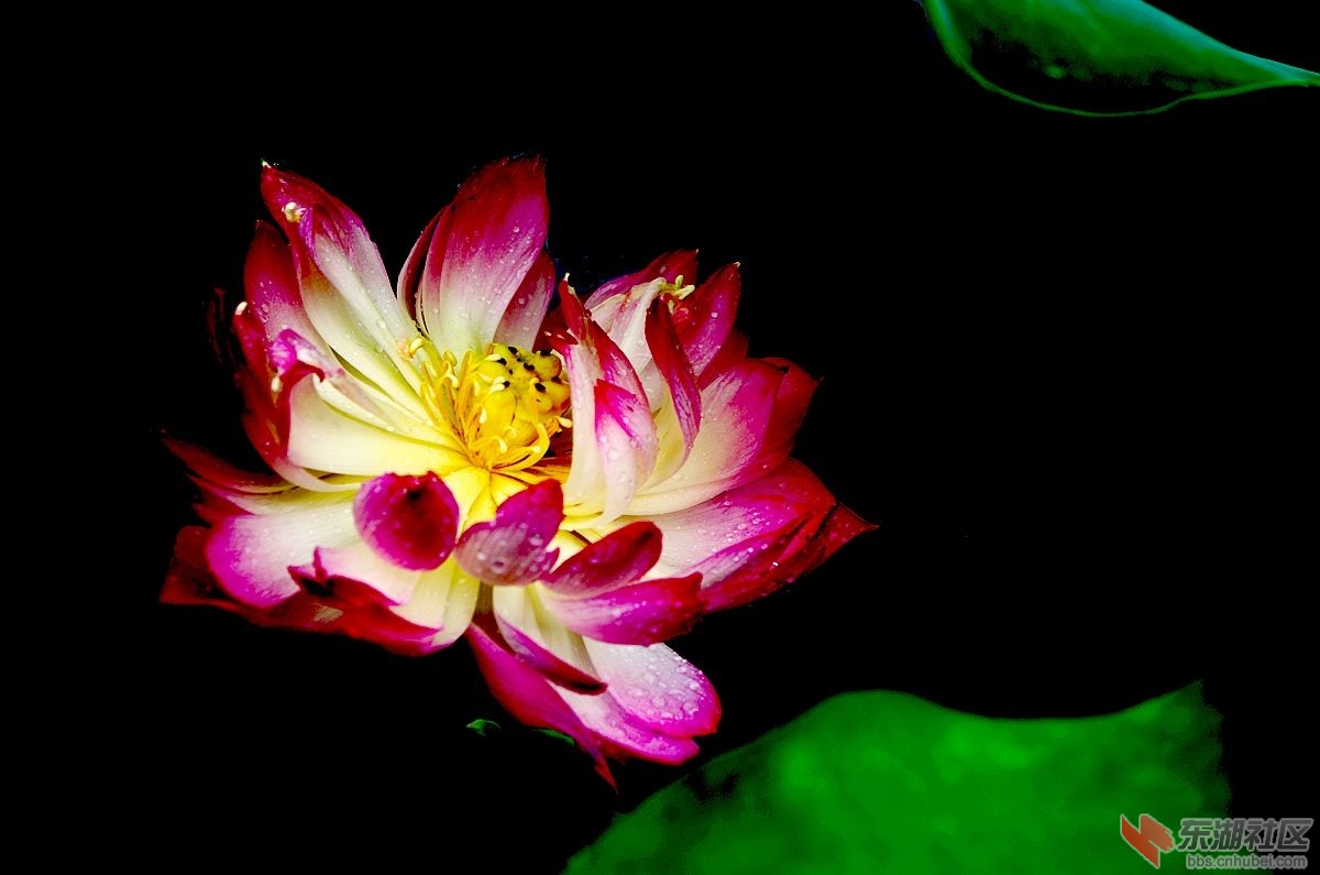 IMGP0259_副本.jpg