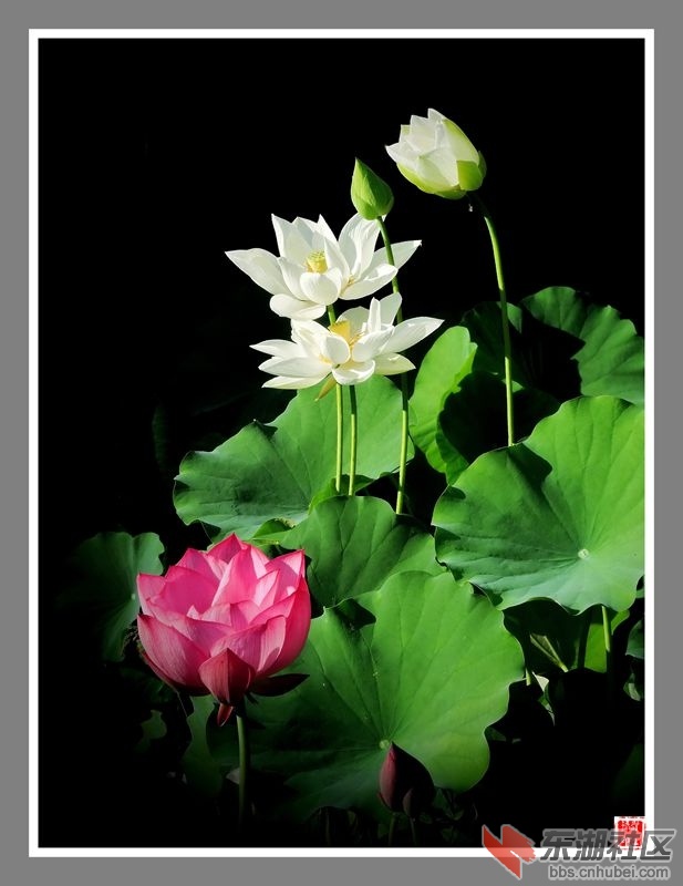 DSCN9734_副本.jpg
