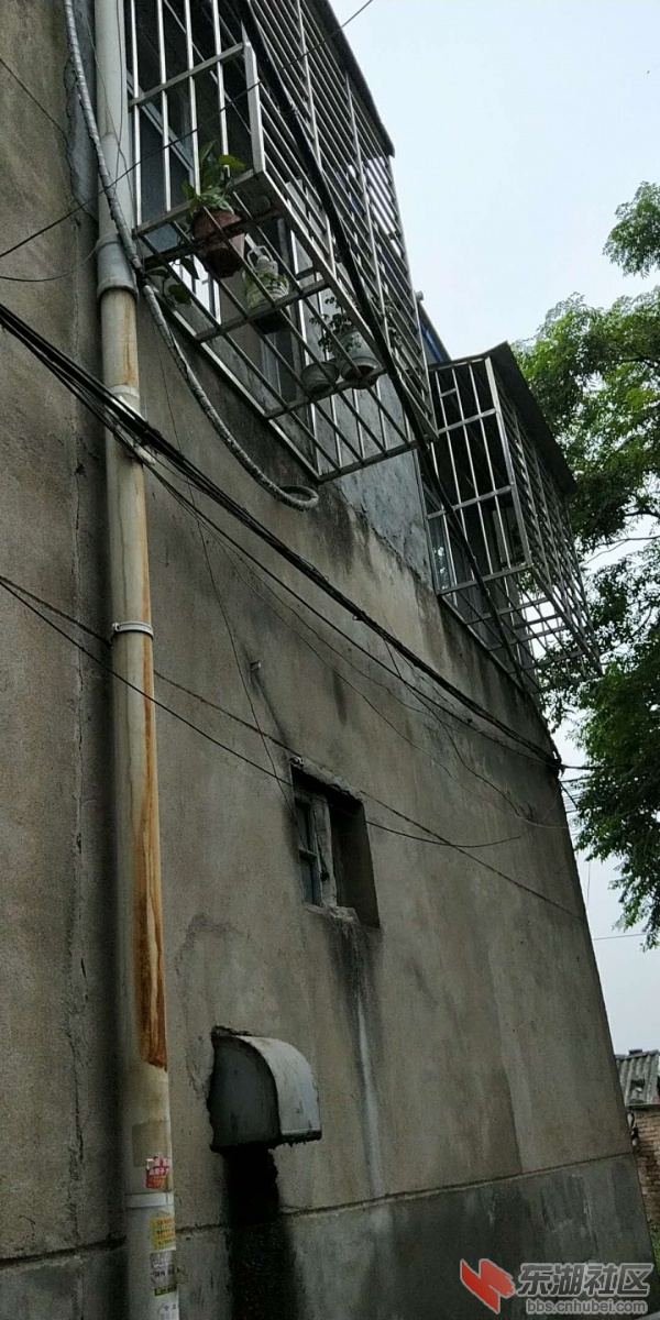 河心1组45号 夏迎辉.jpg