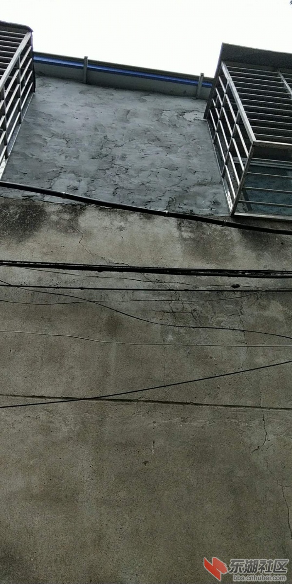 河心1组45号 夏迎辉1.jpg