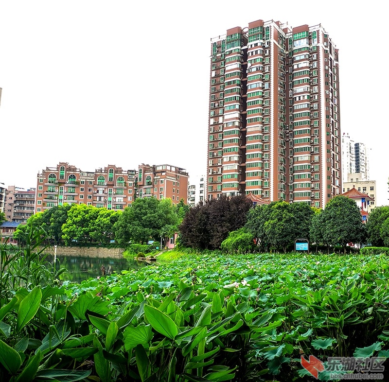 4     DSCN5131_副本.jpg