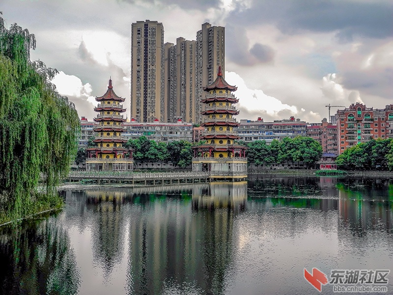 5    DSCN5132_副本.jpg