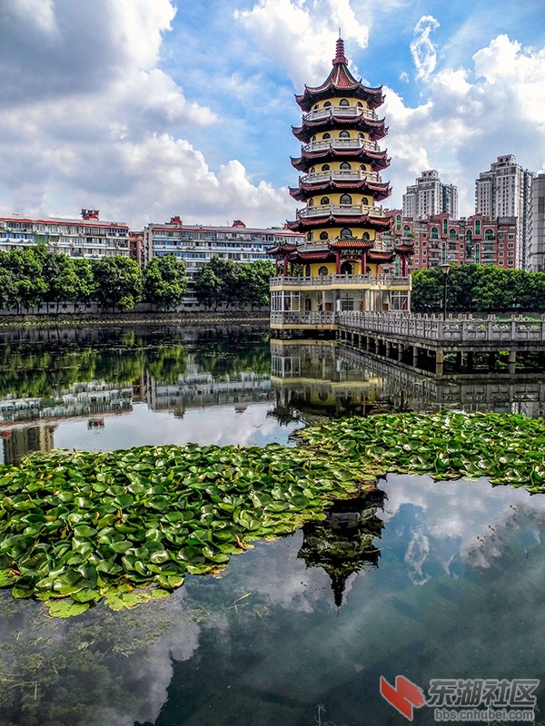 8    DSCN5136_副本.jpg