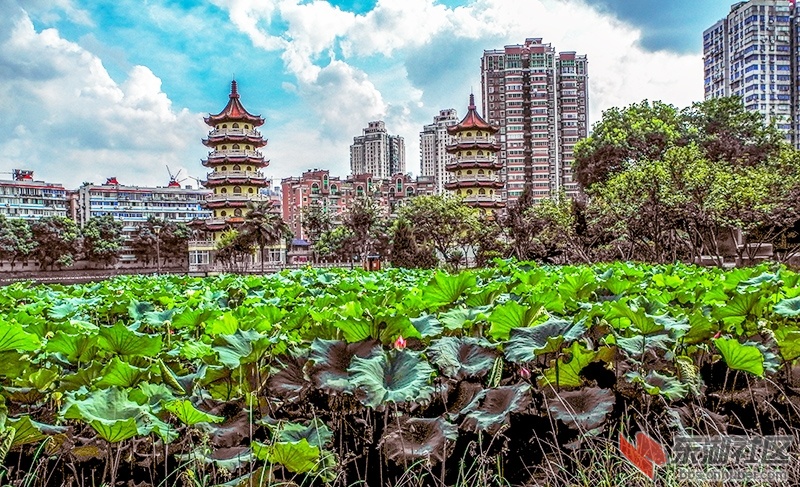 10     DSCN5137_副本.jpg