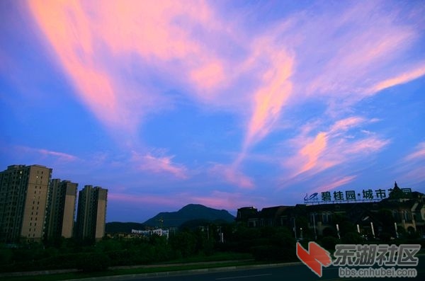 IMGP2093_副本_副本.jpg